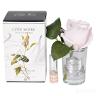 96СN-R46 Диффуз.Rose Bud French Pink,спрей White Gardenia 5мл уп 