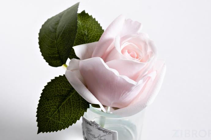 96СN-R46 Диффуз.Rose Bud French Pink,спрей White Gardenia 5мл уп 