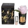 96CN-RB46 Диффузор Rose Bud Frech Pink, спрей Pink Peonies 5м уп 