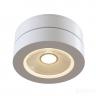 Потолочный светильник Technical C022CL-L7W 