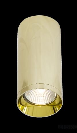 Потолочный светильник Technical C010CL-01G 